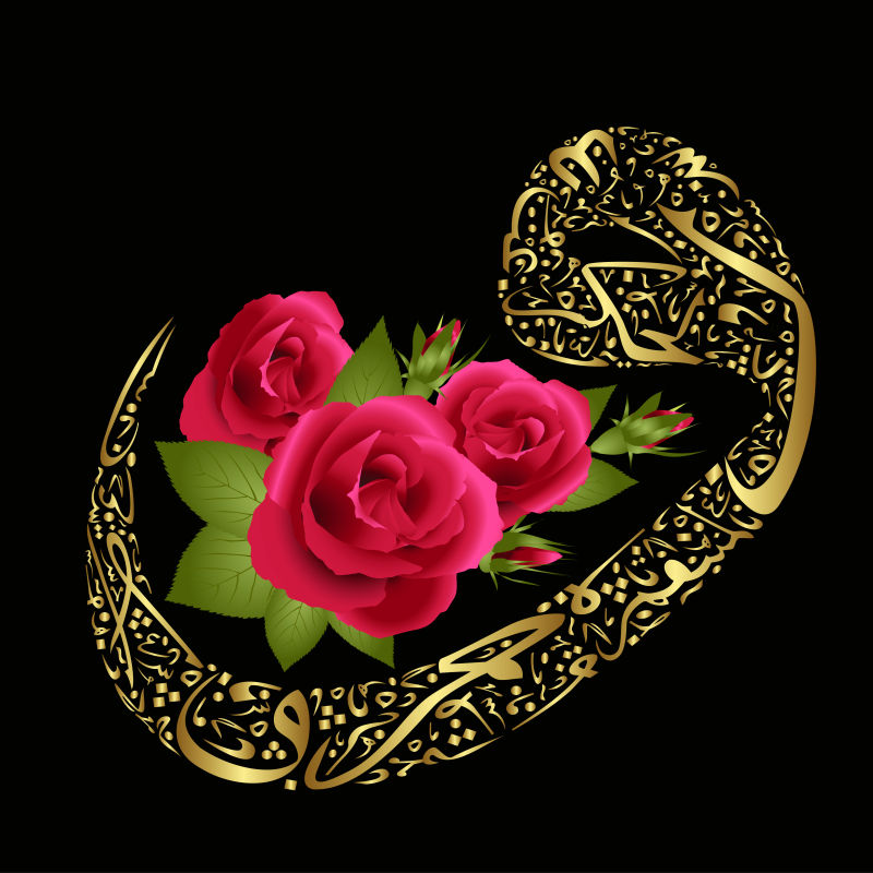 黑色背景前的玫瑰花