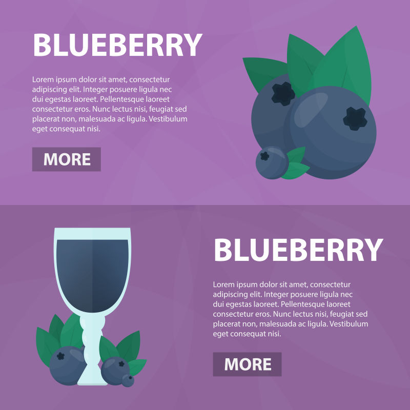 矢量的蓝莓横幅