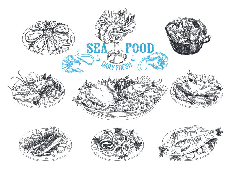 矢量手绘海鲜插图
