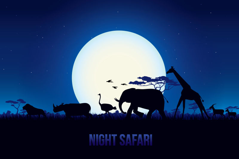 创意矢量夜晚行走的野生动物插图