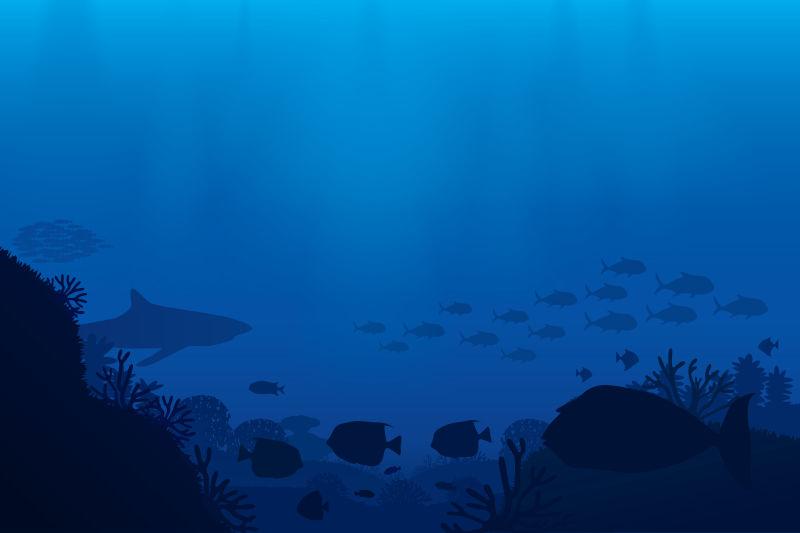 海底生物和珊瑚背景矢量图