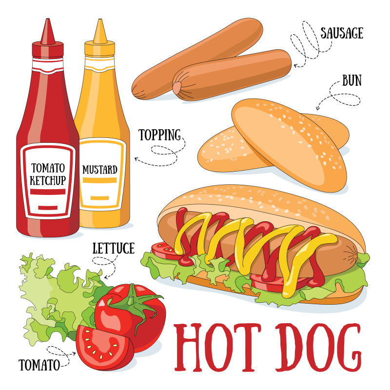 热狗及其配料矢量插图