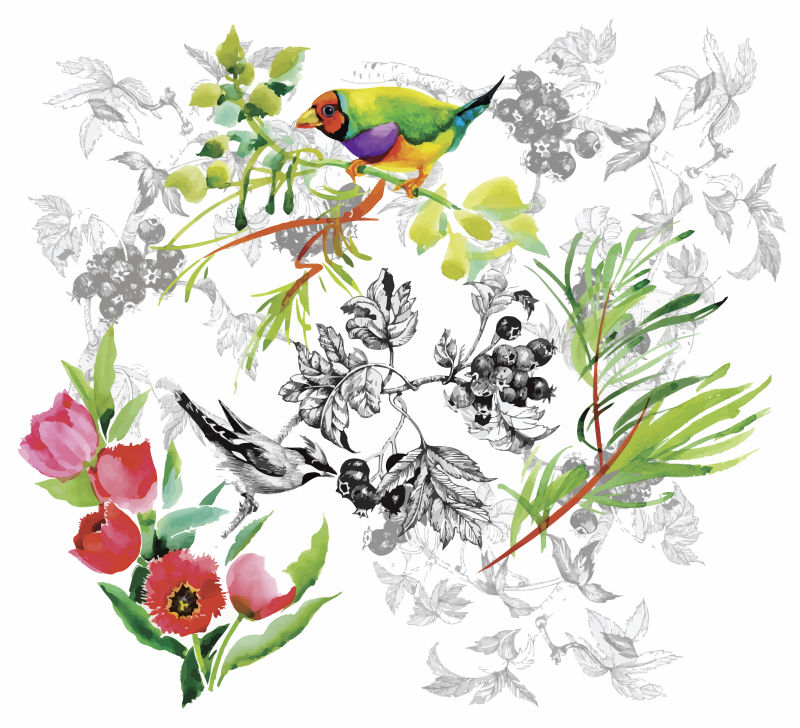 创意矢量水彩热带花鸟的插图背景