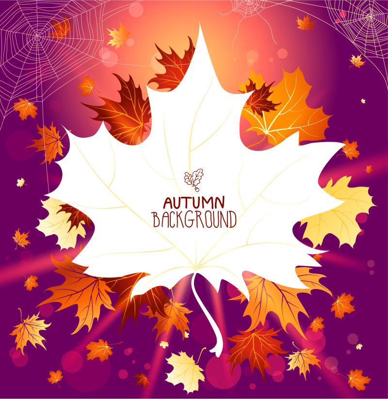 秋天落叶插图矢量设计