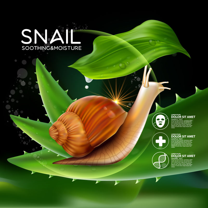 矢量蜗牛粘液元素的化妆品概念宣传海报设计