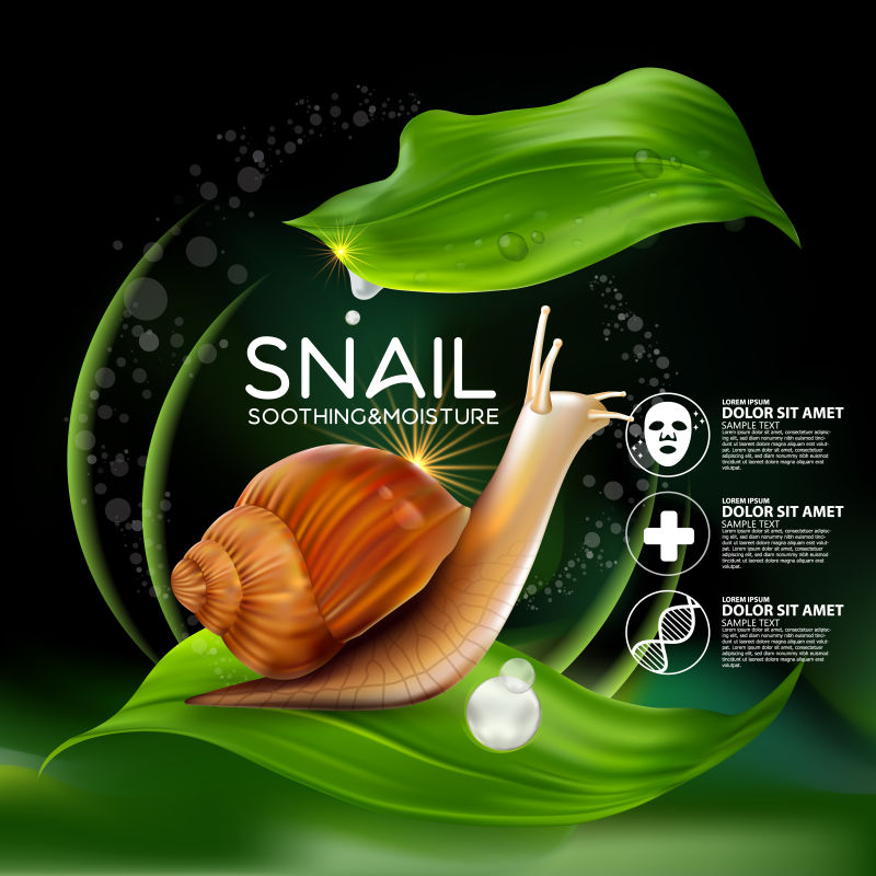 抽象矢量蜗牛粘液精华概念的宣传海报设计