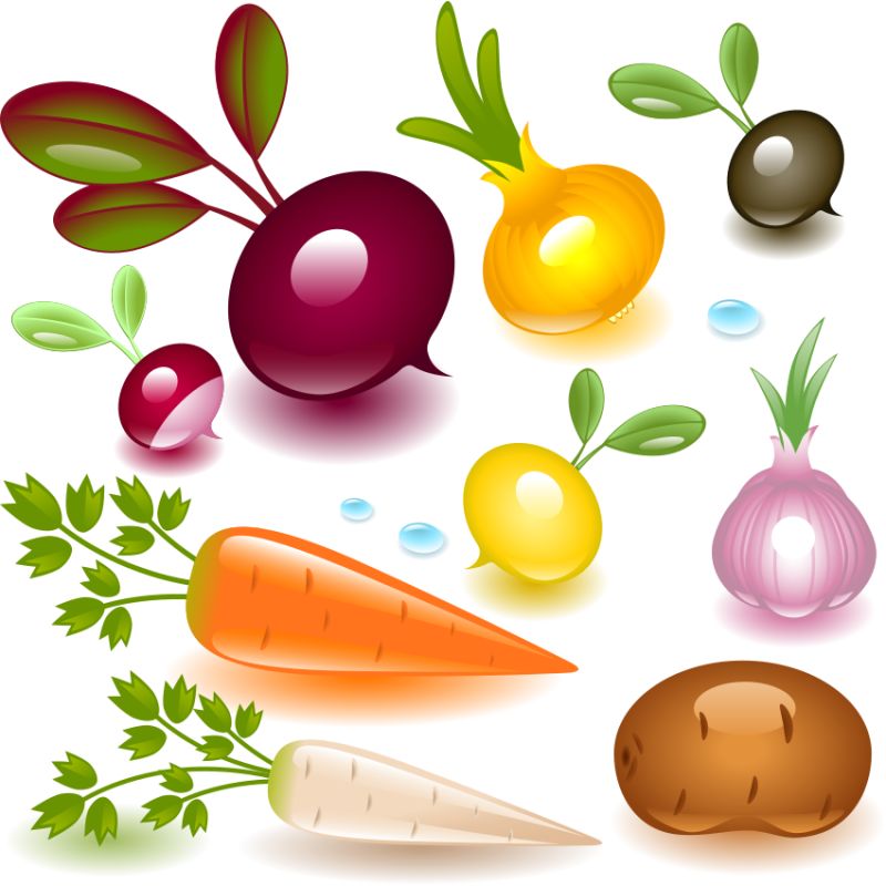 矢量的蔬菜插图