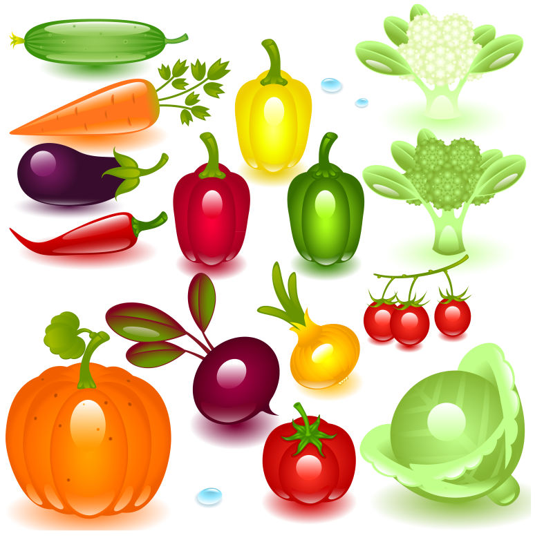 矢量的健康蔬菜插图