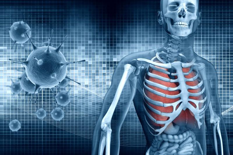 3D人体透视与病毒细胞