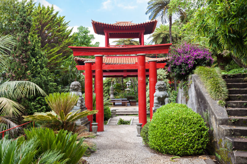 热带宫殿花园景色