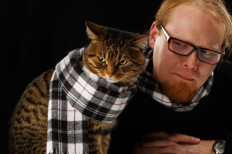 坐在围巾里的猫