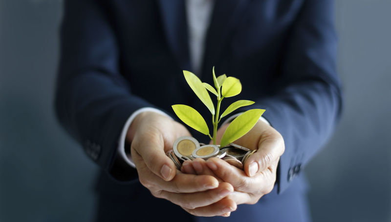 商人手里拿着硬币和发芽的树