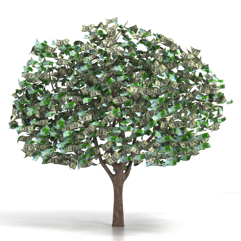 树上长满纸币