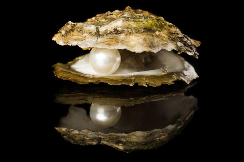 美丽的珍珠图片 牡蛎里的美丽珍珠素材 高清图片 摄影照片 寻图免费打包下载