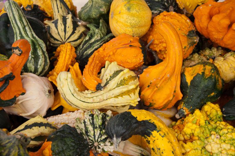 蔬菜南瓜