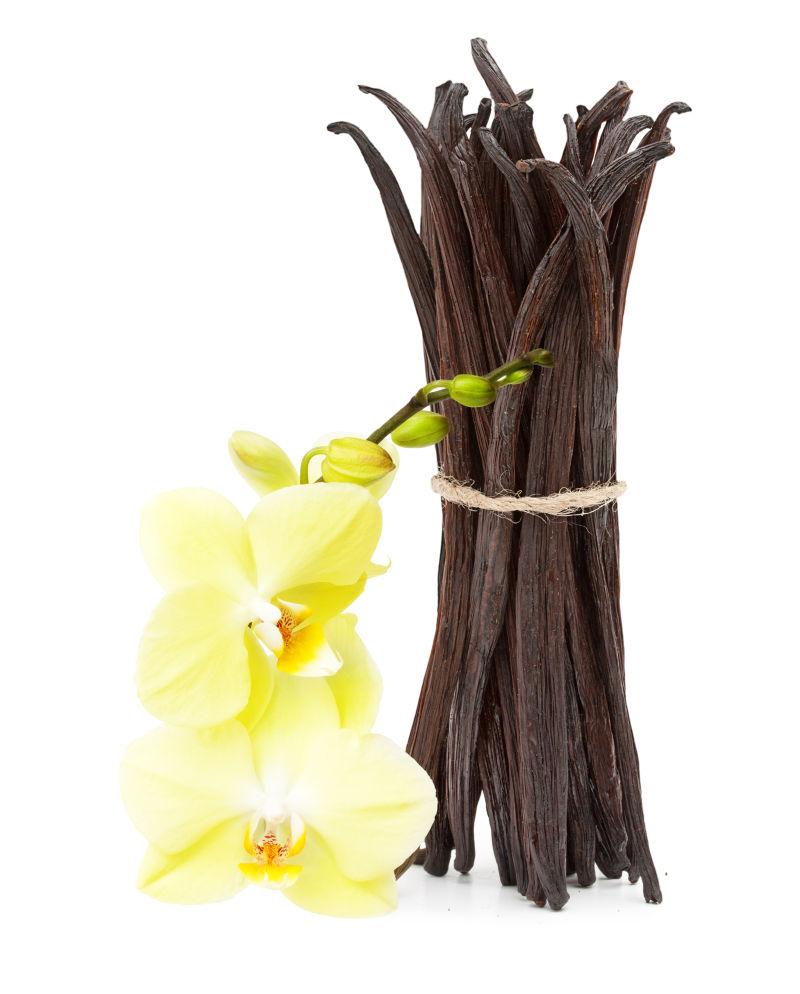 白色背景下的香草荚和奥利德花