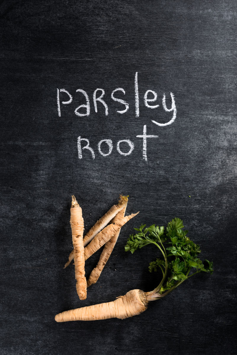 欧芹根黑黑板背景