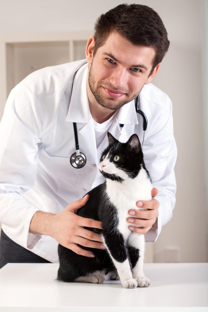 男兽医和宠物猫