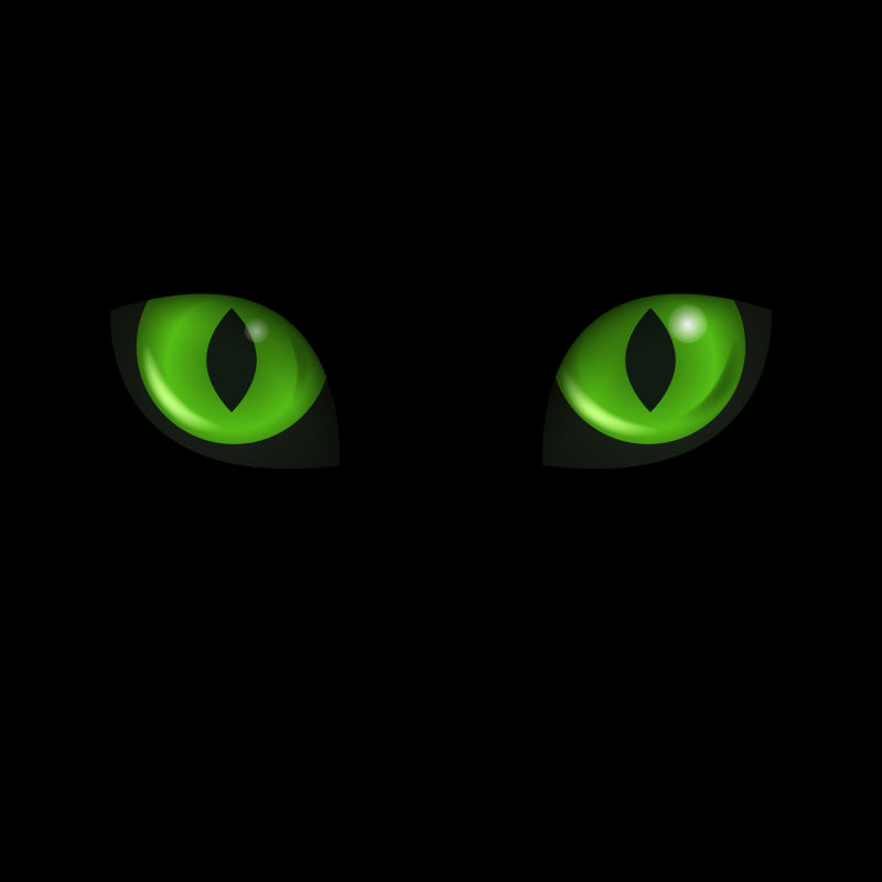 矢量绿色猫的眼睛在黑色的背景