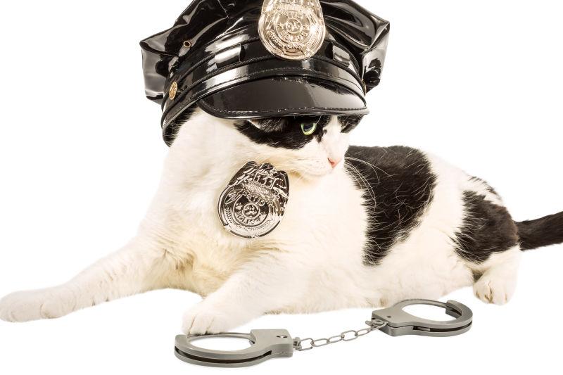 带着警帽的帽子