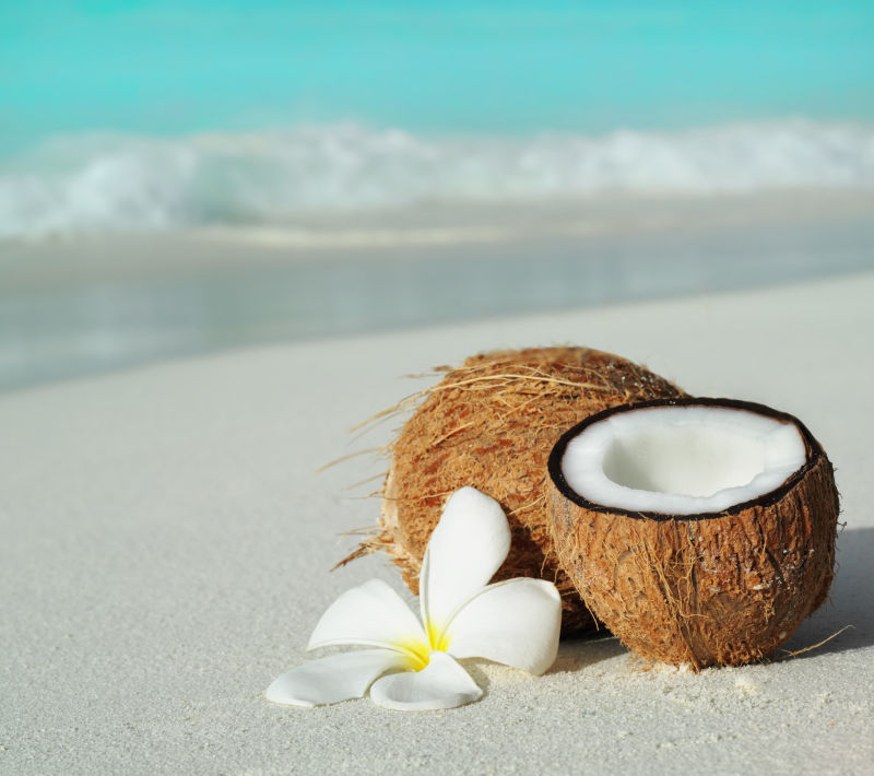 沙滩上的椰子与花朵