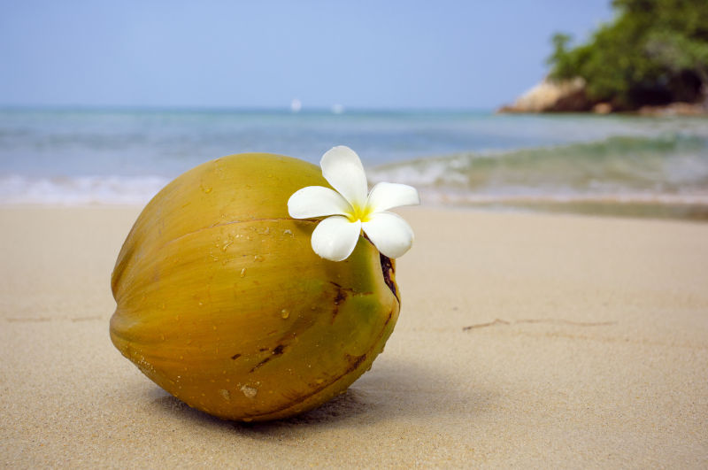 摆放在沙滩上的椰子