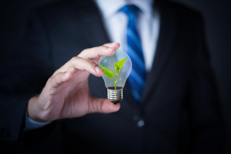 手里拿着灯泡里面有绿色植物