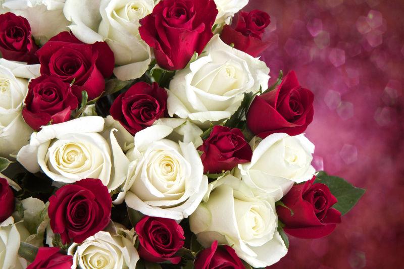 红玫瑰与白玫瑰