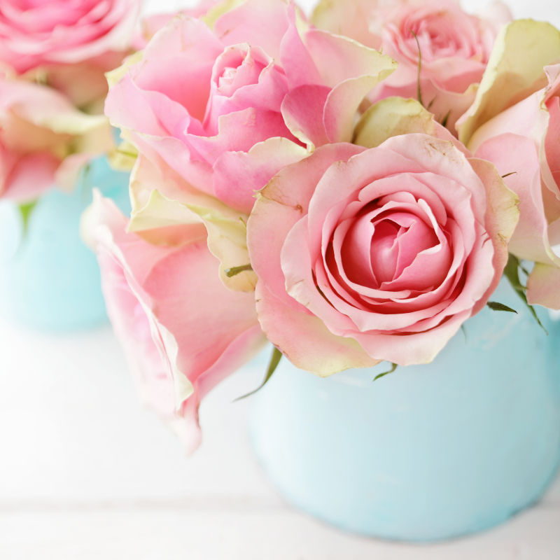 花瓶里的粉红玫瑰花