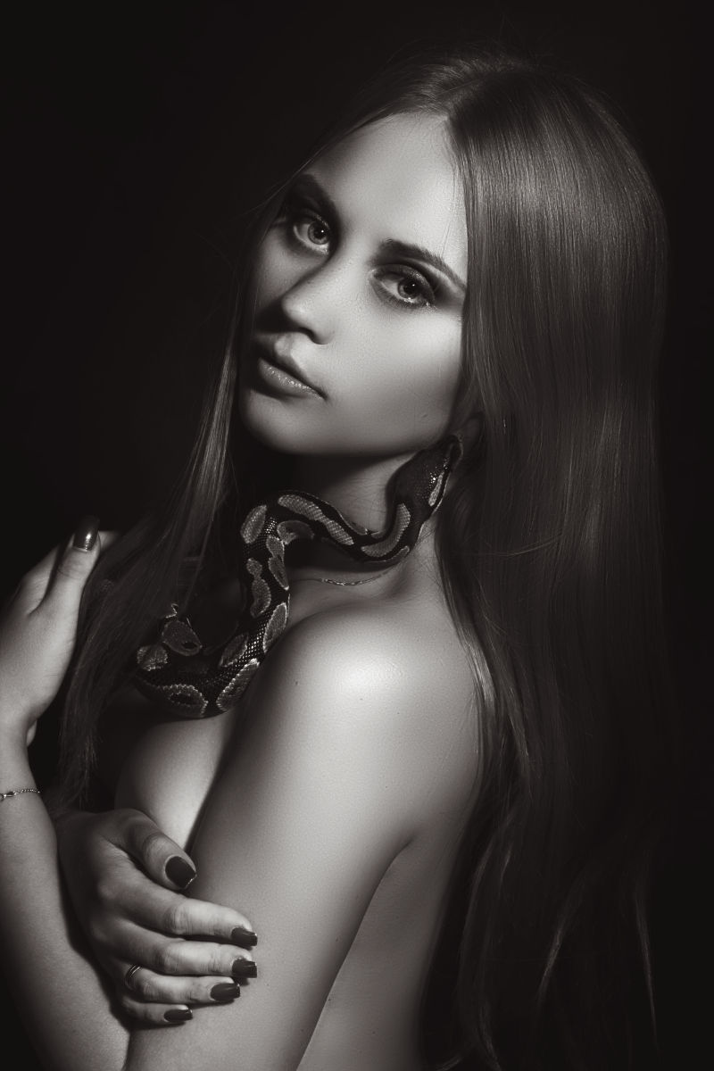 黑白相间有危险的蛇和美女