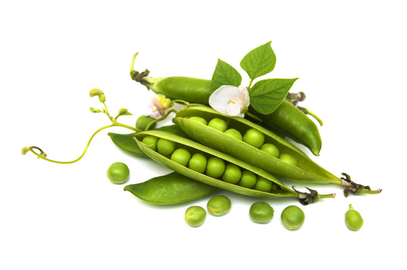 白色背景上的绿色豌豆