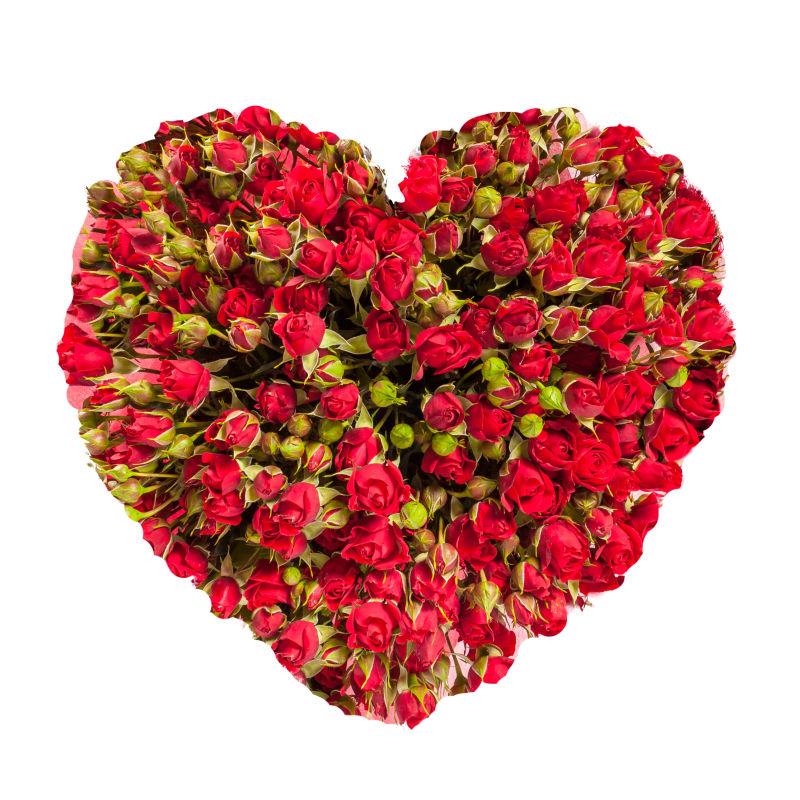 白色背景下的玫瑰花束