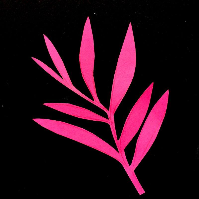 黑色背景下粉色剪纸