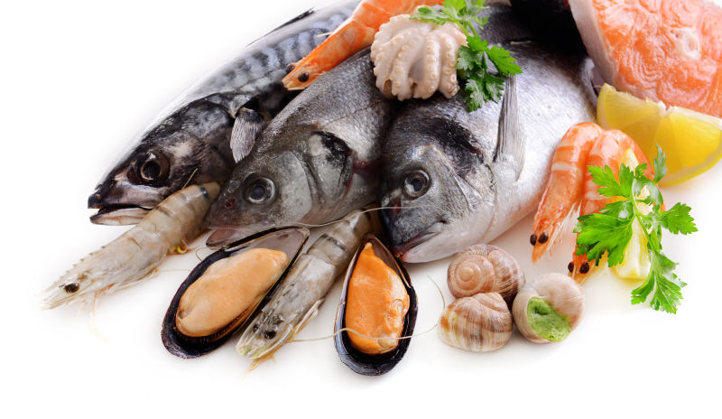 白色背景前的白鱼以及其他海鲜