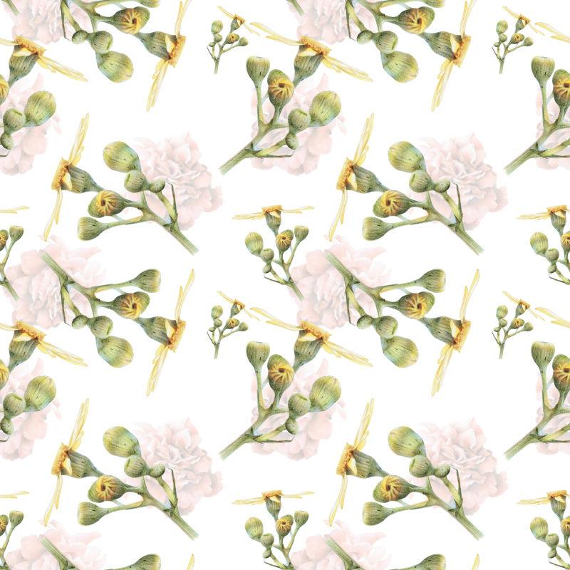 用彩色铅笔手工绘制的植物