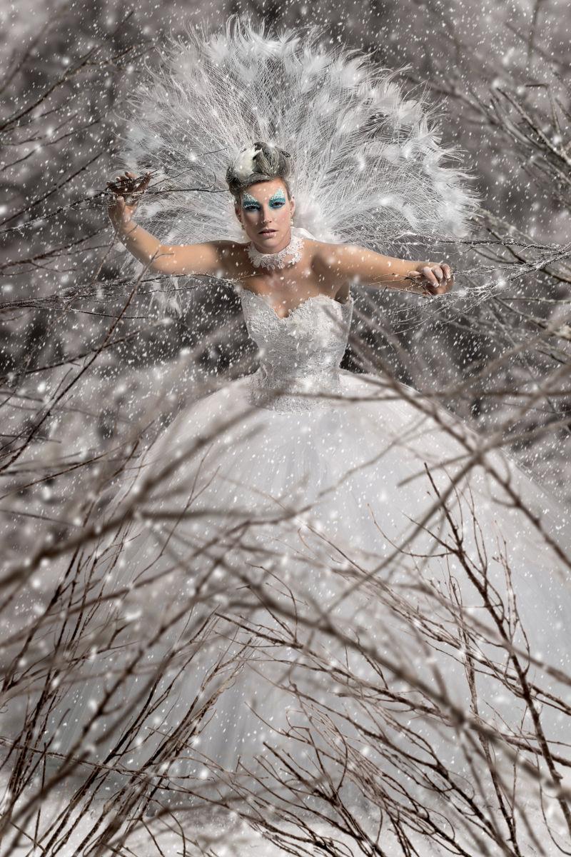 美丽的冰雪女王图片 冬雪背景中带羽毛的冰雪女王素材 高清图片 摄影照片 寻图免费打包下载