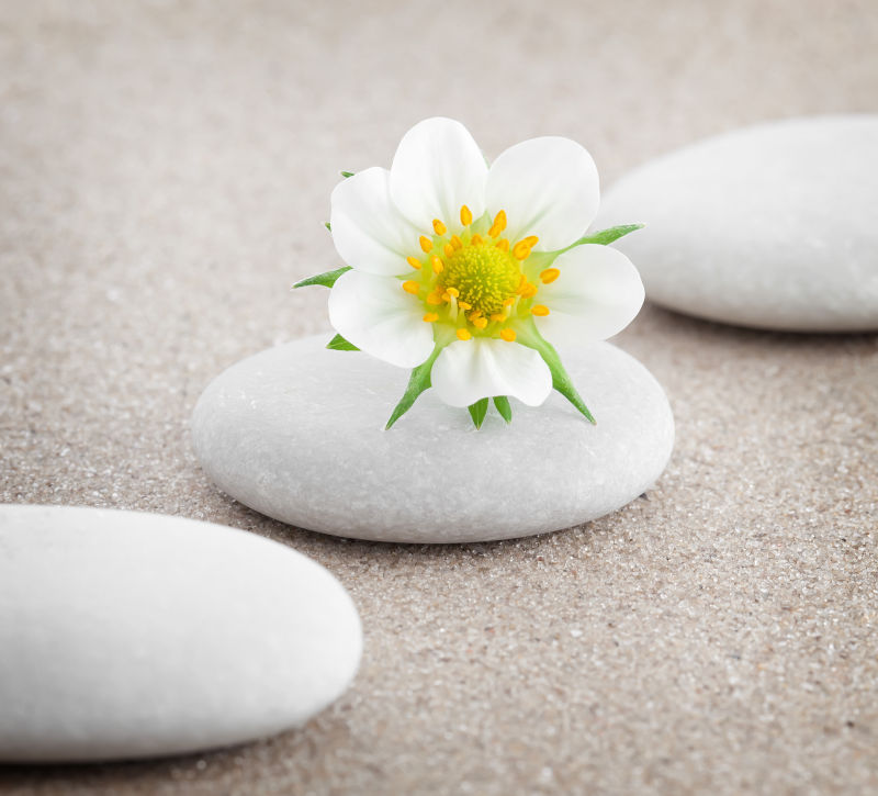 鹅软石上的小花