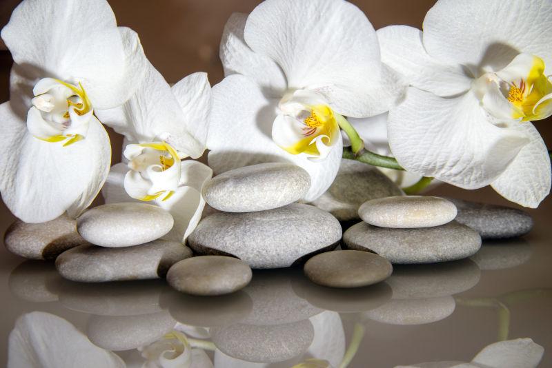 白兰花背景上白玻璃上的扁石