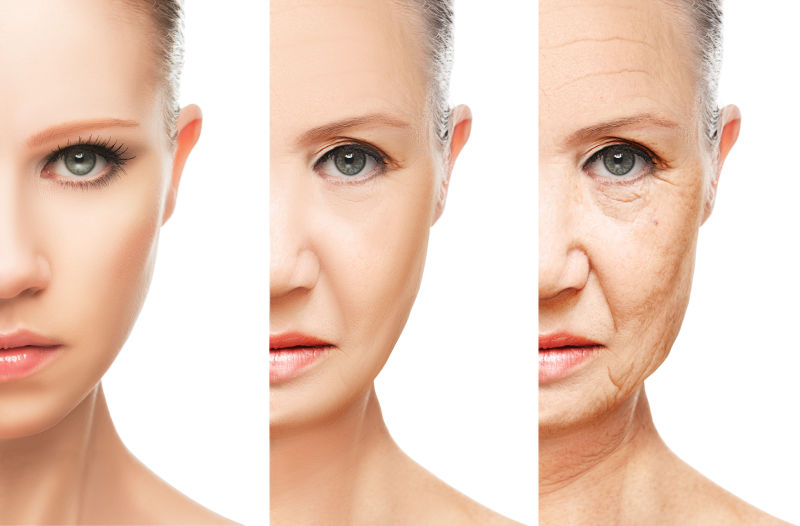 皮肤衰老的过程