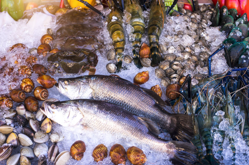 结冰的海鲜