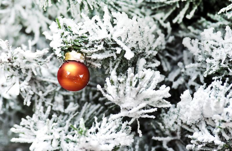 冬季圣诞节的树的装饰