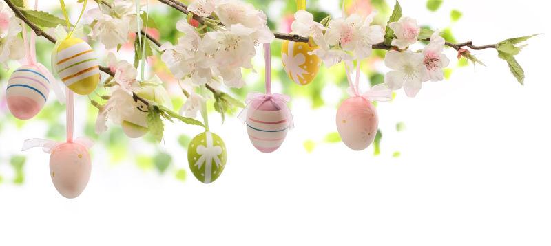 白色背景上挂在粉色桃花枝上的复活节彩蛋