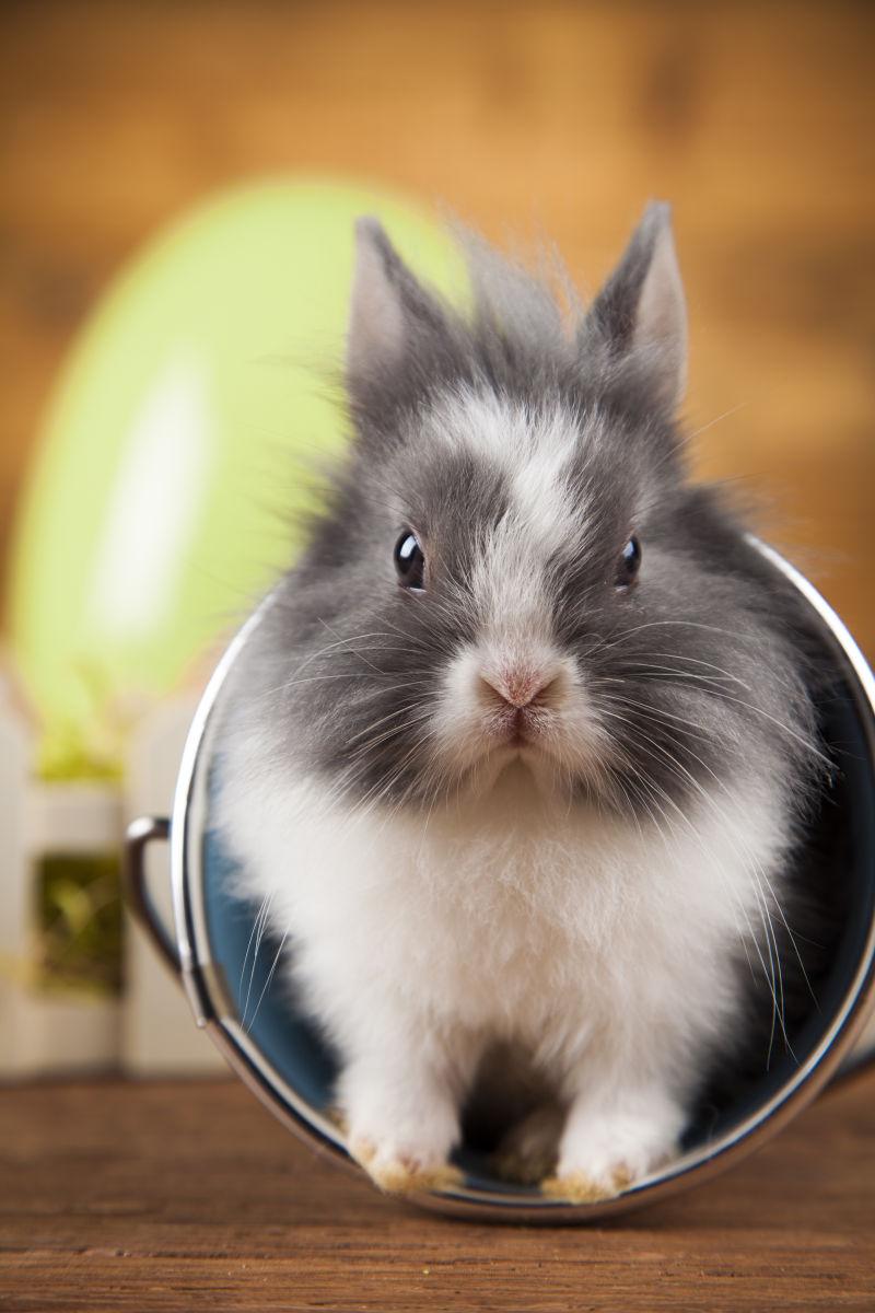 木制背景下的复活节可爱的兔子