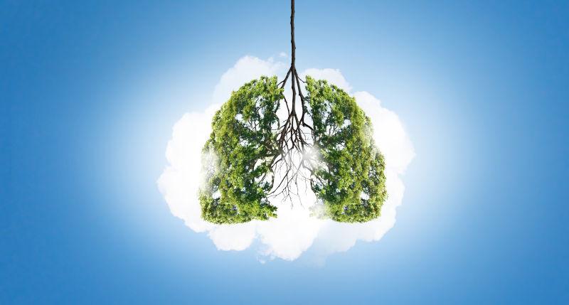 倒挂的绿树像人类的肺