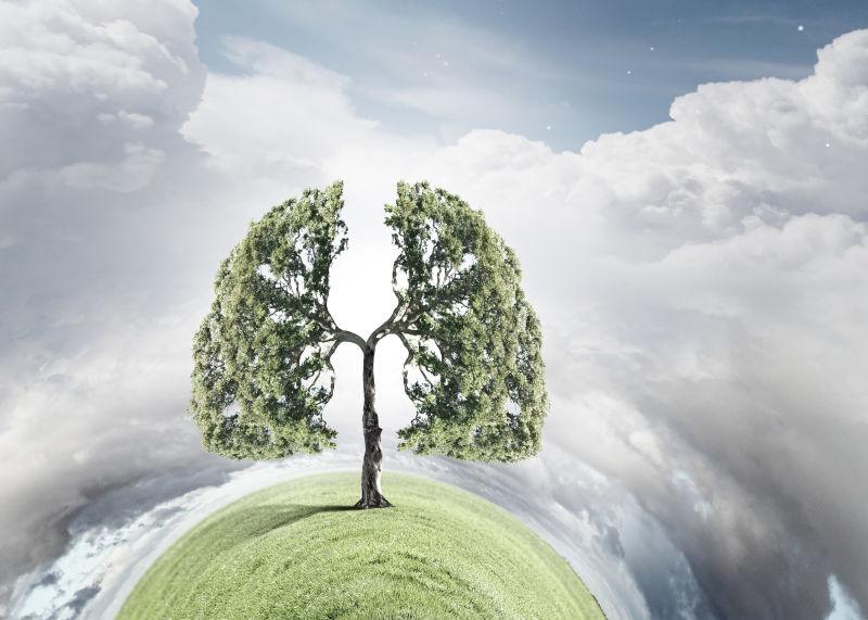 白云下分叉的绿色树木