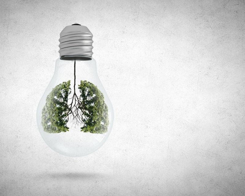 白炽灯绿色树木灯芯