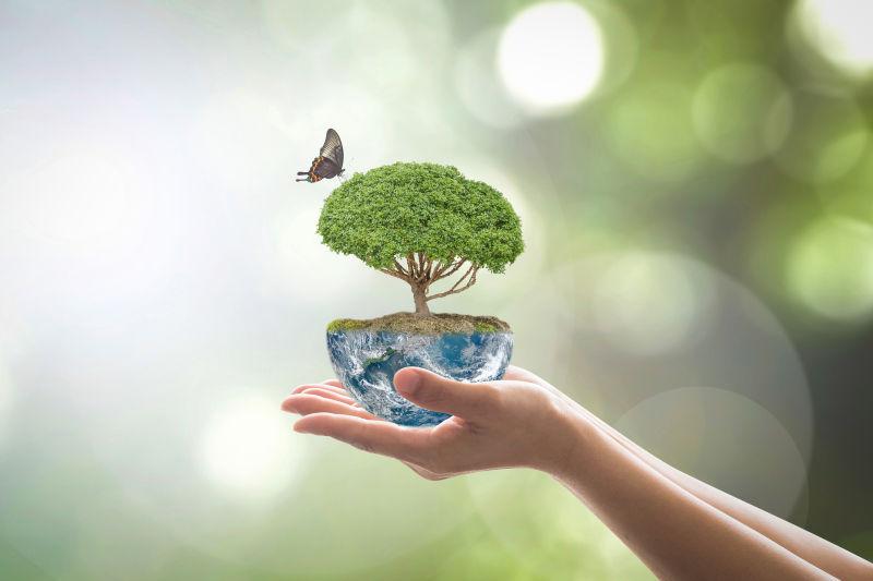 双手托着一株绿树