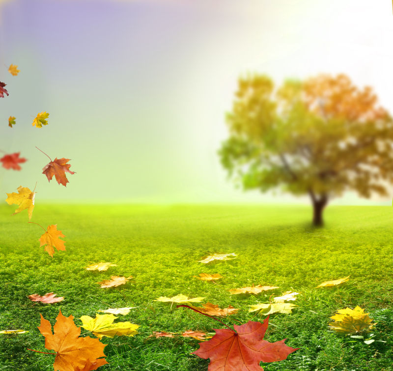 秋季风景图片 秋天景色的背景素材 高清图片 摄影照片 寻图免费打包下载