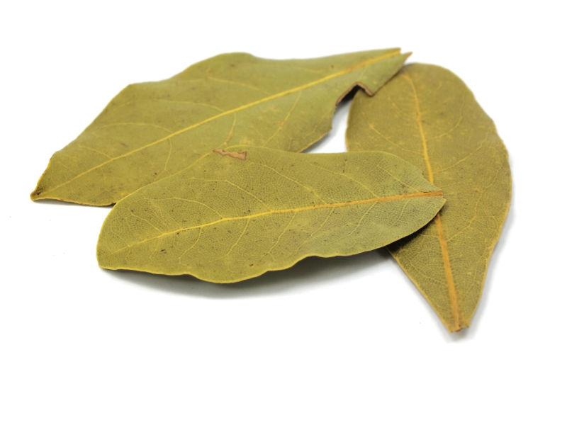 三个干了的树叶