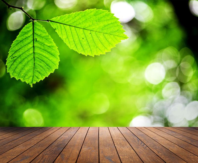 绿叶背景前的木桌